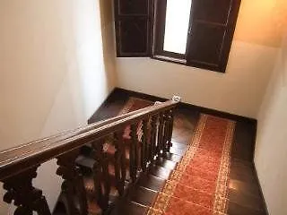 Fiorita シエーナ